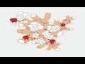 Saxon Shore - The Exquisite Death of Saxon Shore [Full Album]