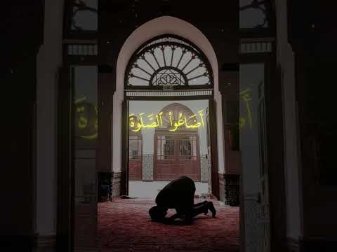 اشترك تشجيعا لأخوك المسلم فخلف من بعدهم خلف اضاعوا الصلاة صوت خاشع