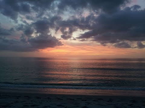 Видео: Плажовете на Форт Майерс и Санибел: 8 запомнящи се приключения