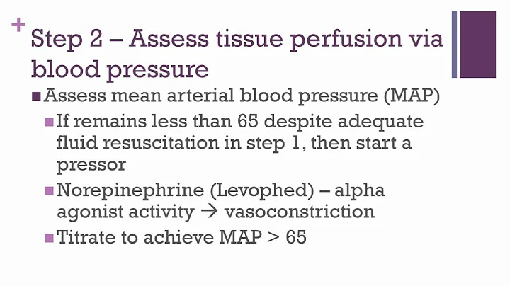 Severe Sepsis and Septic Shock Protocols