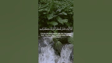 وقال ربكم ادعوني أستجب لكم - ياسر الدوسري /سورة غافر