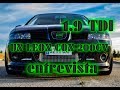 Un seat leon 1m con 200 cv  19 tdi  entrevista con su dueo