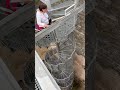 La escalera de caracol en la abadía.