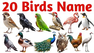 20 पक्षियों के नाम सीखें बच्चों के लिए | Learn 20 Bird Names for Kids with Pictures and Sound