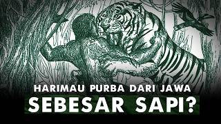 Katanya Harimau Terbesar di Dunia Hidup di Jawa? | Harimau Ngandong