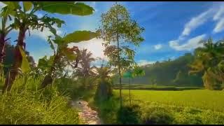 STORY WA SHOLAWAT PAGI HARI JUMAT BERKAH \\ SHOLAWAT YA BADROTIM \\ STORY WA 30 DETIK TERBARU 2022