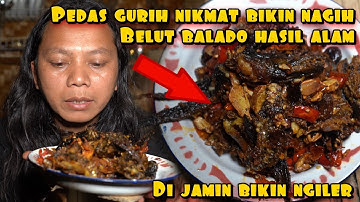 BALADO BELUT MONSTER ASAM MANIS PEDAS BIKIN NGILER