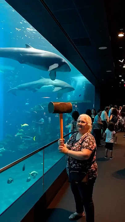 Has to be fake ! #danger #dangerous #dangerzone #shark #caution