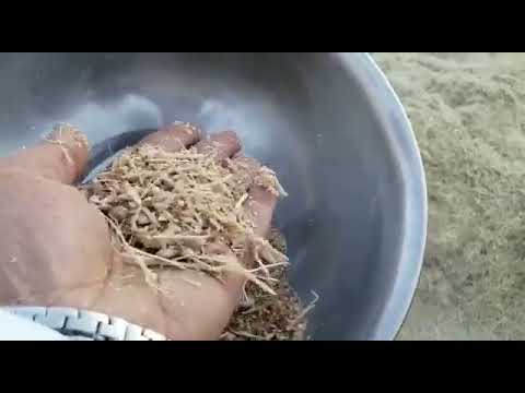 جاروشة جرش وطحن التمور بالنوى