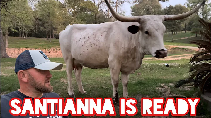 Santianna is ready- new life on ranch!
