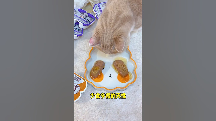 【小奶貓成長記】泡完全身一股草原的味道，它們反應也太大了吧 #獨生子的日常