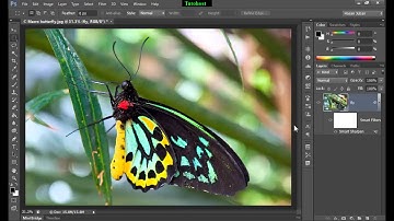 Photoshop Tutorial Smart Sharpen Filter
