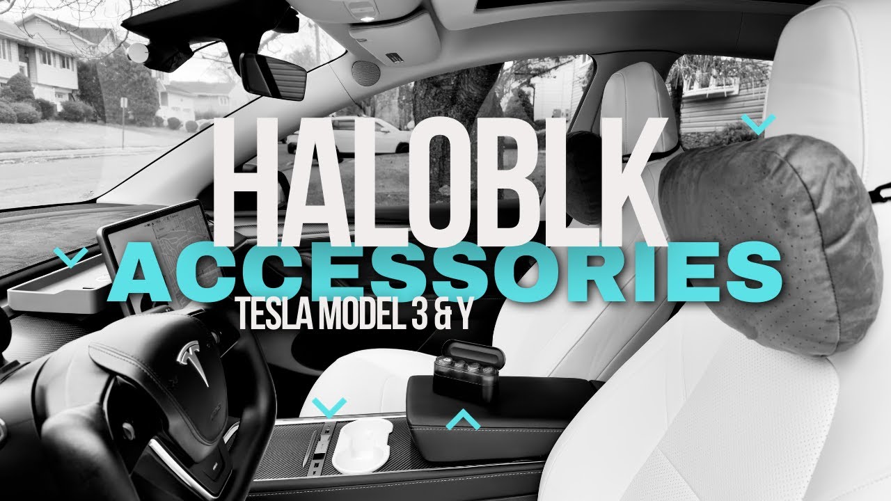 Haloblk Tesla Sitz Rücken Schutz-Set von 2