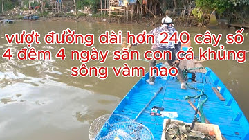 vượt đường dài hơn 240 cây số 4 đêm 4 ngày săn con cá khủng sông vàm nao