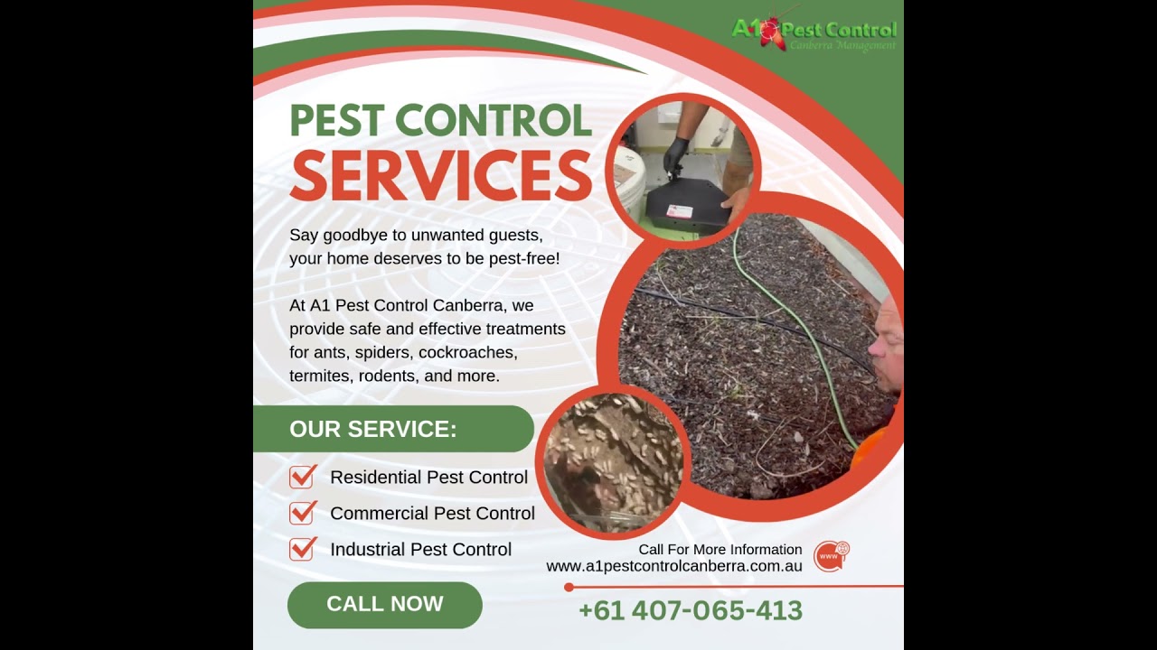 Are These Pests Hiding in Your Home Right Now?