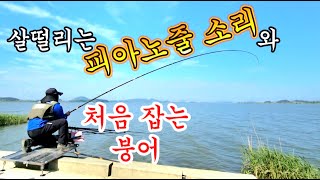 몸이 떨리는 피아노줄소리와 처음잡는 붕어//My body is shaking and my fishing rod is crying//carp