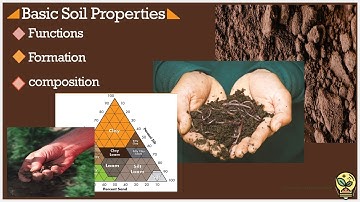Basic Soil Properties: Functions, Formation, and Composition