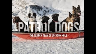 Patrol Dogs- The Search Team of Jackson Hole