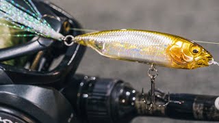 The Best Bait Finesse (BFS) Tricks For Spring Bass Fishing!