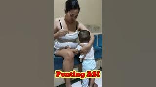 Pentingnya Air Susu Ibu