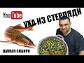 Уха Из Стерляди. Рецепт Приготовления.Дегустация.