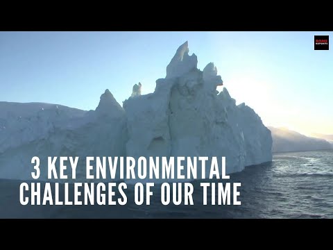 Video: Environmental problems of our time