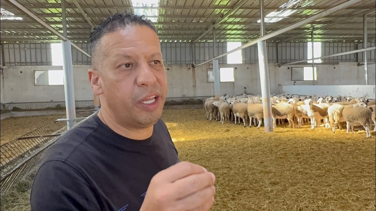 المايسترو فريد لمزابي وخيرات الحولية الملكية