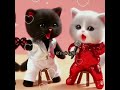 My boo cat whatsapp status shorts explore recommend foryou fyp trending viral views fyp