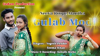 NEEVA ROOPE MANTA GULAB MODI  | YOGESH PENDOR | JIMMY STUDIO YAVATMAL | NEW GONDI SONGS 2024 |