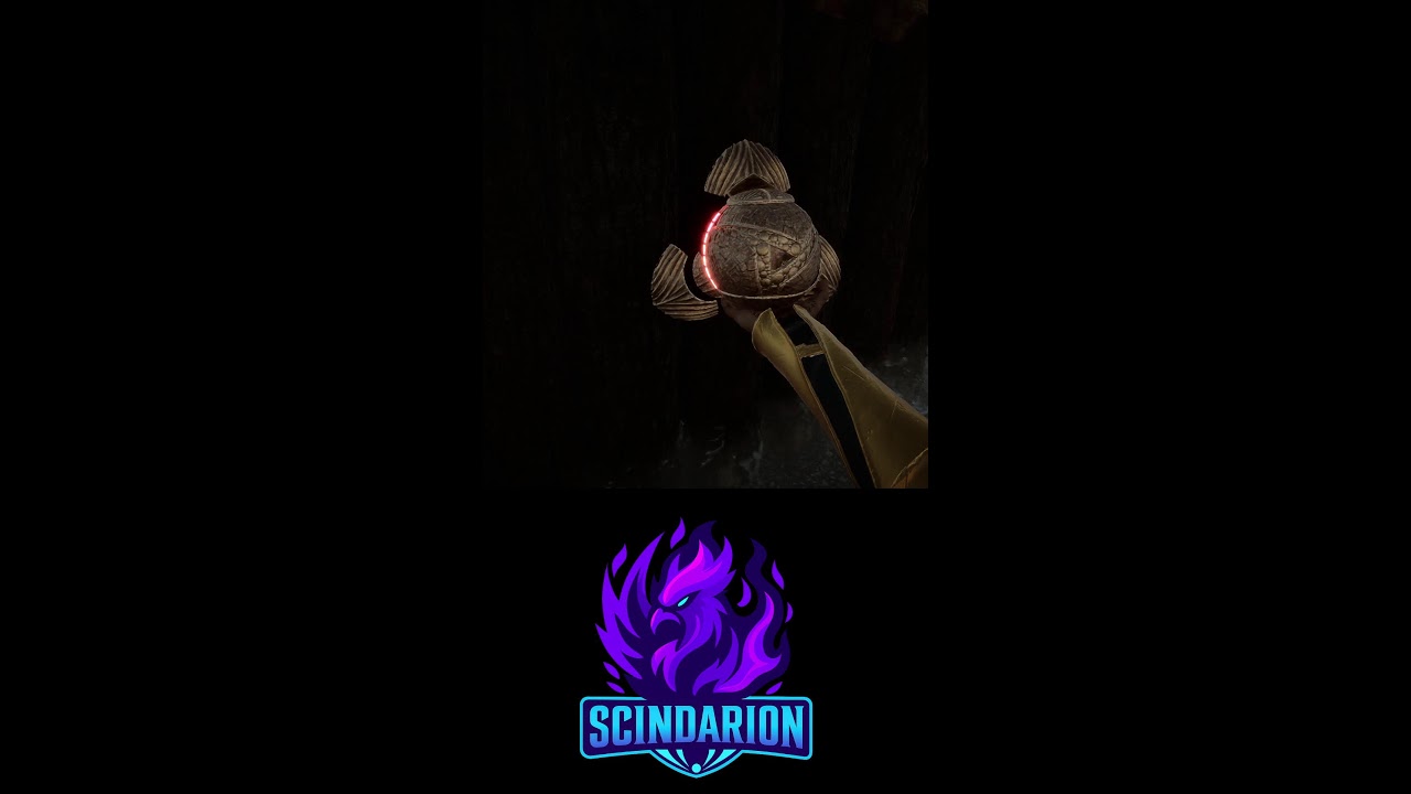 I am a Son Of The Forest