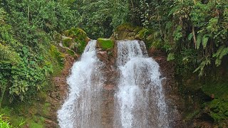 Curug Holipet - Kabandungan, Kab. Sukabumi. #hiking #curug #airterjun #kebunteh #elegsunda