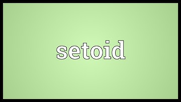 Setoid Meaning