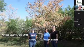Pine Wilt Disease Workshop