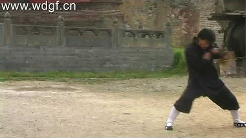 China Kung Fu (Wudang kungfu Ba Ji Quan)武当八极拳