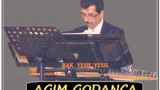 AGIM GODANCA-TSM- BAK YESIL YESIL Resimi