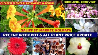 Recent Week Pot & All Plant Price Update|Galiff Street Cheapest Plant Market Kolkata|23rd April 2023