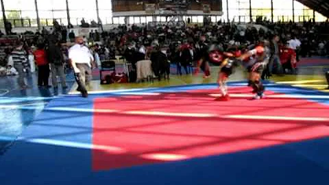 Kickbox Stefan Radulescu vs.Tiger Security