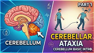 Cerebellar ataxia series / part 1 : basic introduction of cerebellum ( GUJRATI+ ENGLISH) easy 