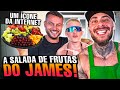 GIVE ME A FRUIT SALAD JAMES LEO STRONDA GIVE ME A FRUIT SALAD JAMES LEO STRONDA