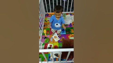 His name jayansh about 1yr3months butplay with colours&pictures