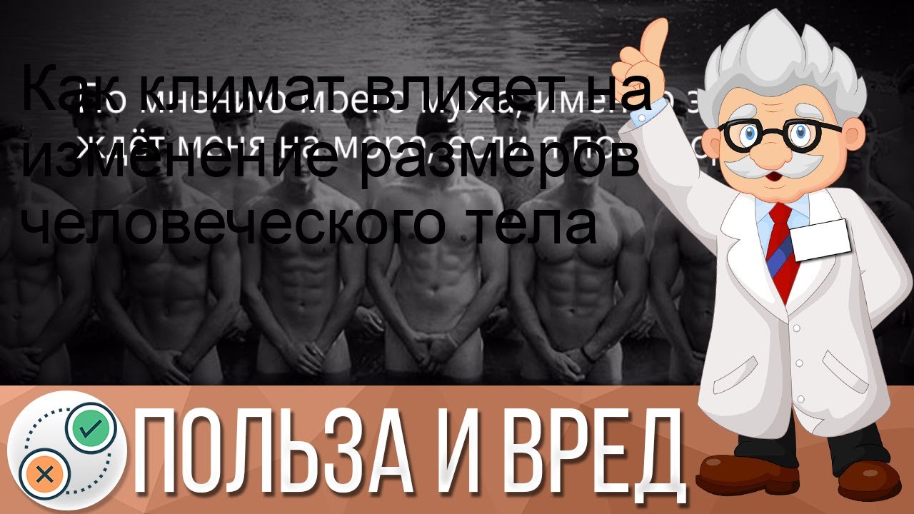 Как климат влияет на изменение размеров человеческого тела