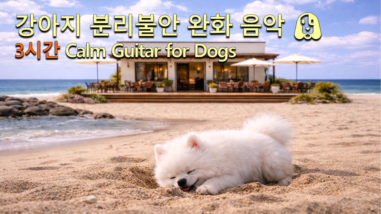 강아지 분리불안 완화 음악 🐶 3시간 Calm Guitar for Dogs