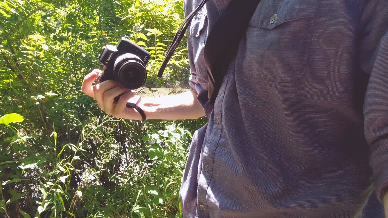 1545mm Canon EOS M50 Nature Photography Walk & Talk YouTube