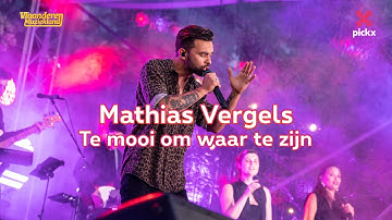 Vlaanderen Muziekland: Mathias Vergels - Te Mooi Om Waar Te Zijn