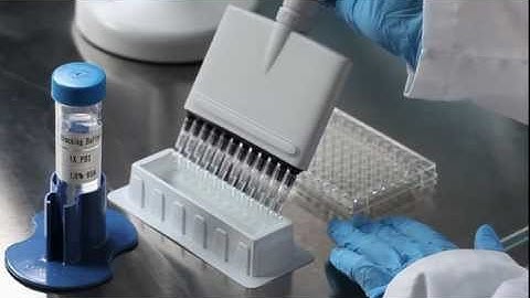 PeproTech ELISA Video Tutorial