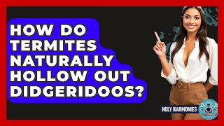 How Do Termites Naturally Hollow Out Didgeridoos? - Holy Harmonies