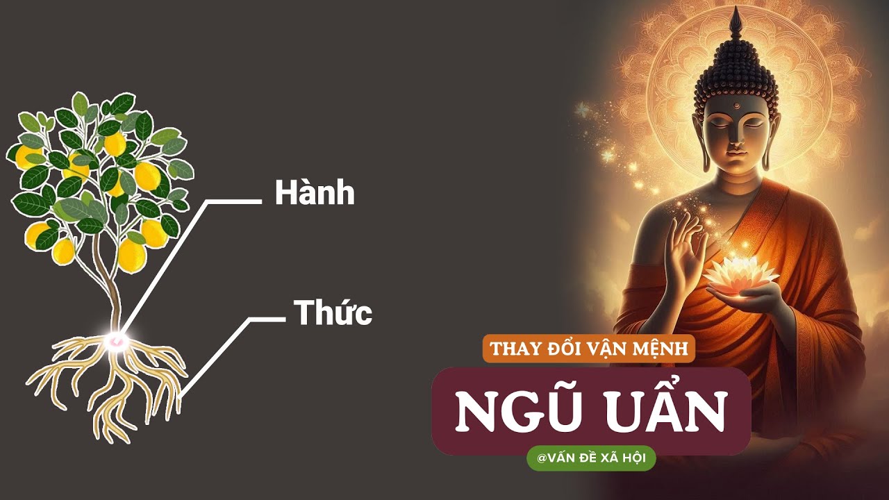 Ngũ Uẩn Trong Đạo Phật Là Gì? Hiểu Để Thay Đổi Vận Mệnh Từ Gốc Rễ – Podcast số 103 - youtube