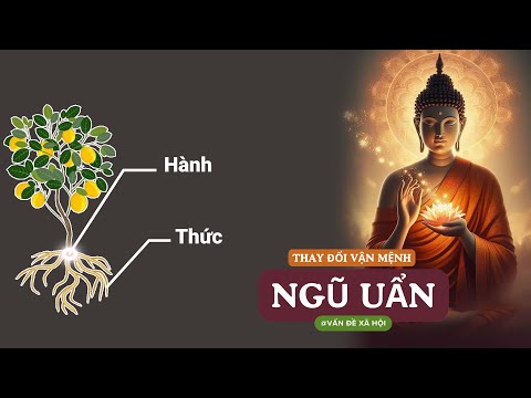 Video Ngũ Uẩn Trong Đạo Phật Là Gì? Hiểu Để Thay Đổi Vận Mệnh Từ Gốc Rễ – Podcast số 103 - youtube