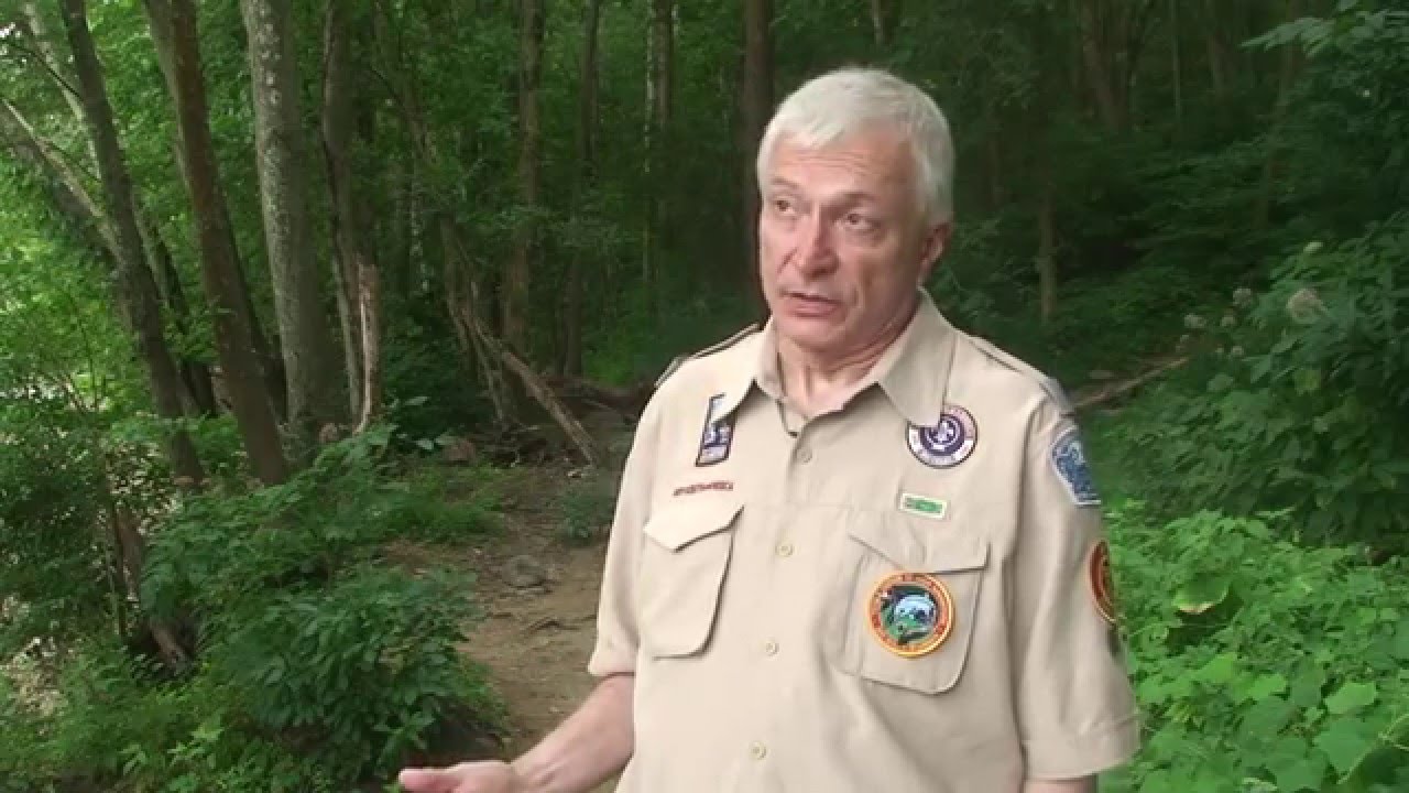 Why I give to NCAC's Endowment Fund