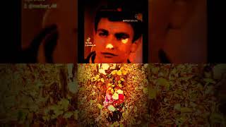 #butterfly of the night 💔🖤🦋#santravita